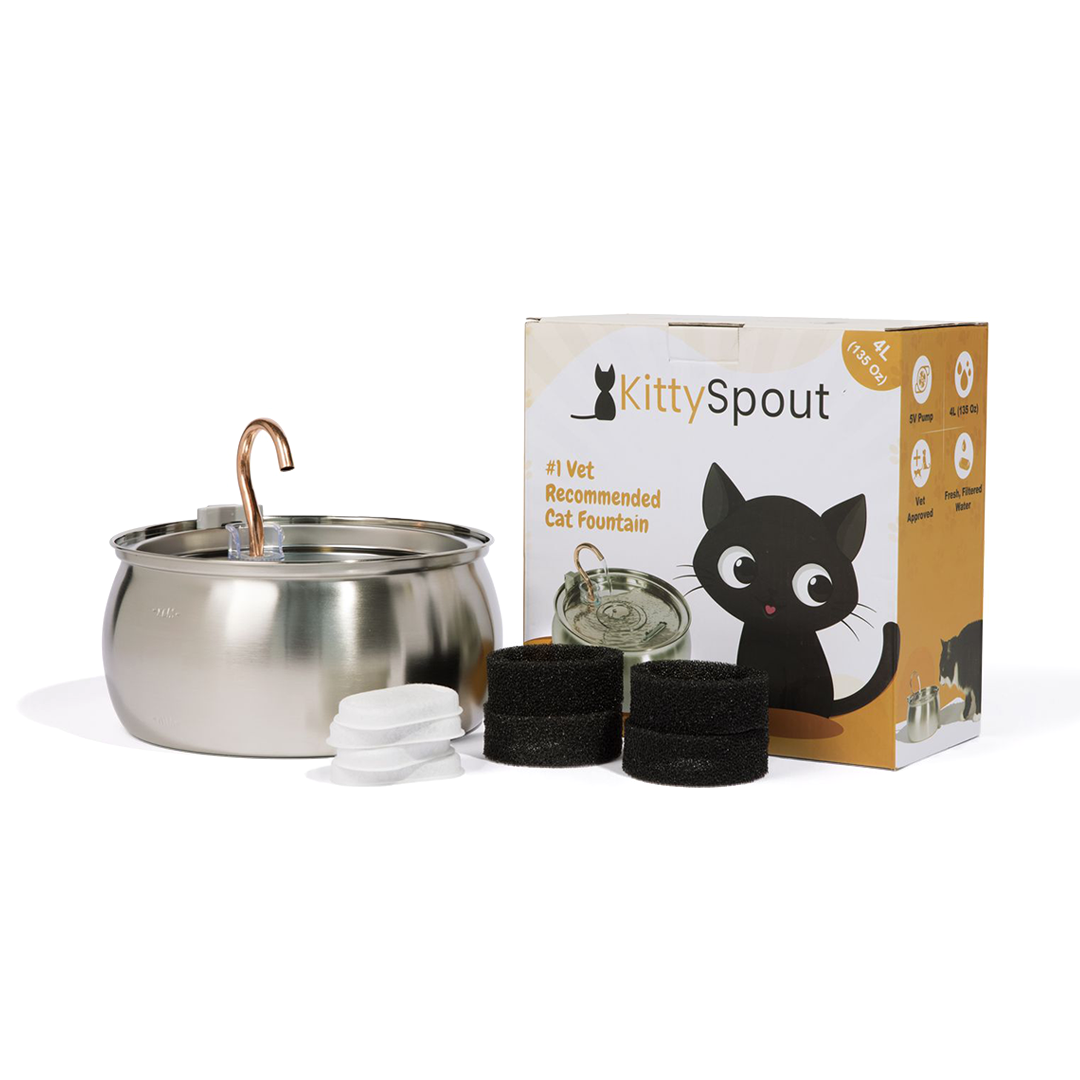 PawSpring™ - Health & Happiness Cat Kit