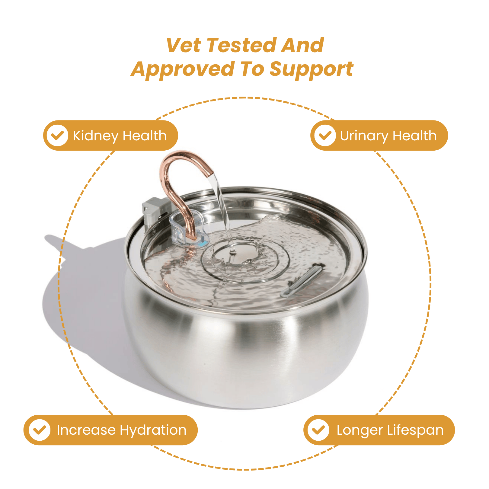 PawSpring™ - Health & Happiness Cat Kit