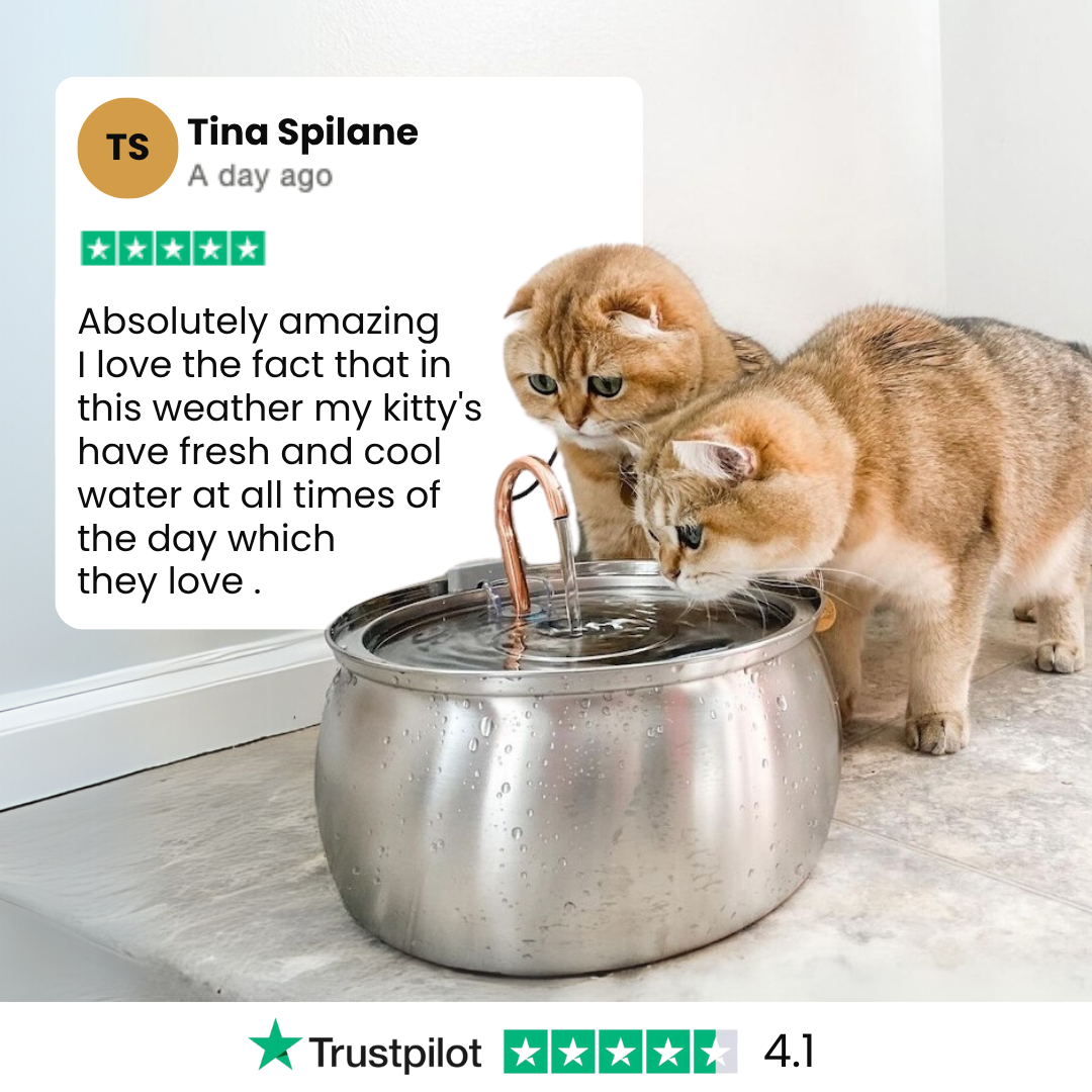 PawSpring™ - Health & Happiness Cat Kit