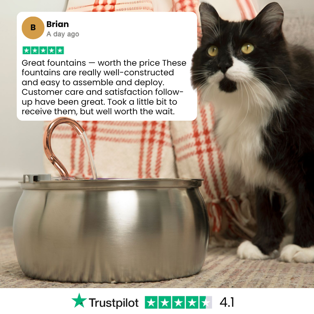 PawSpring™ - Health & Happiness Cat Kit