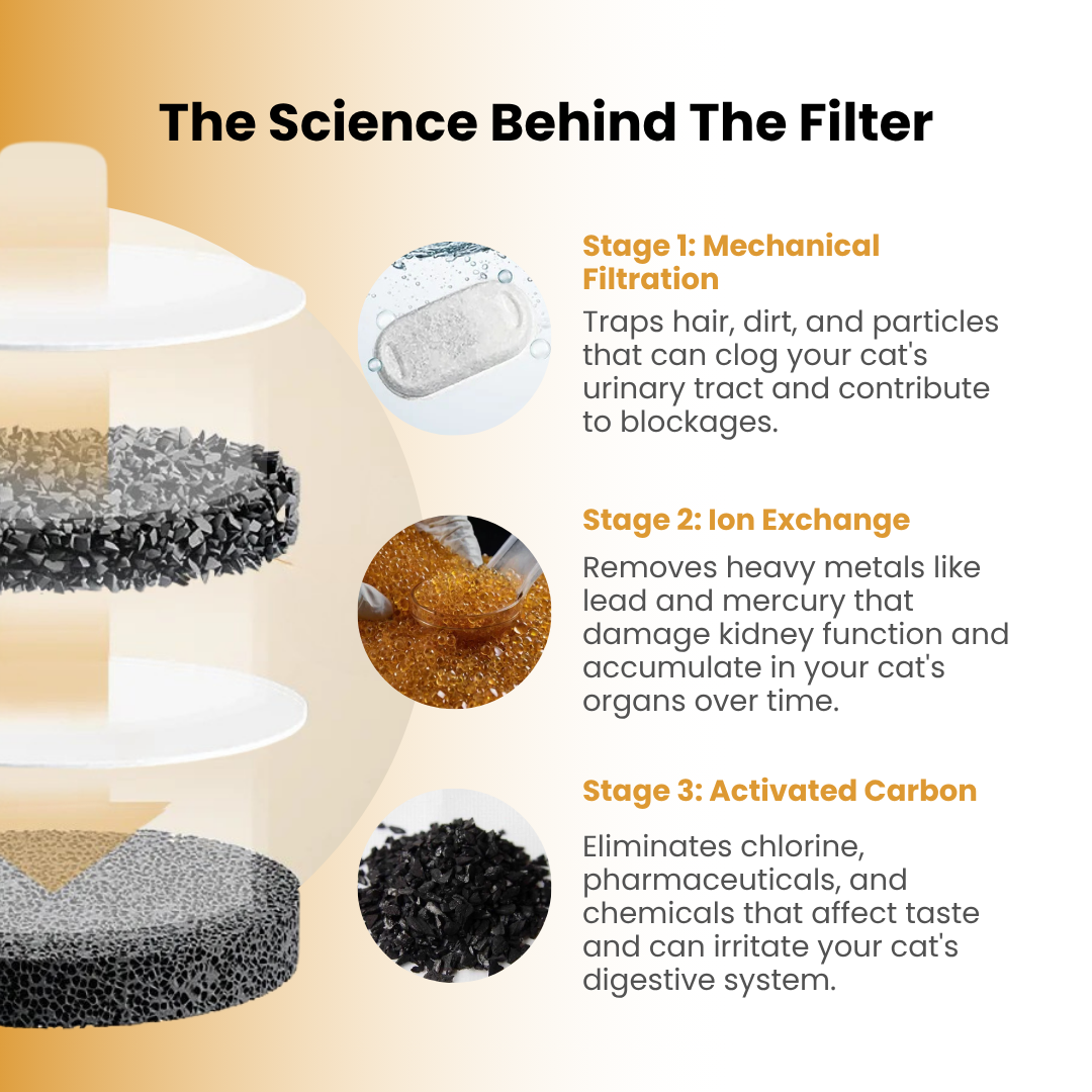 PawSpring™ - Health & Happiness Cat Kit