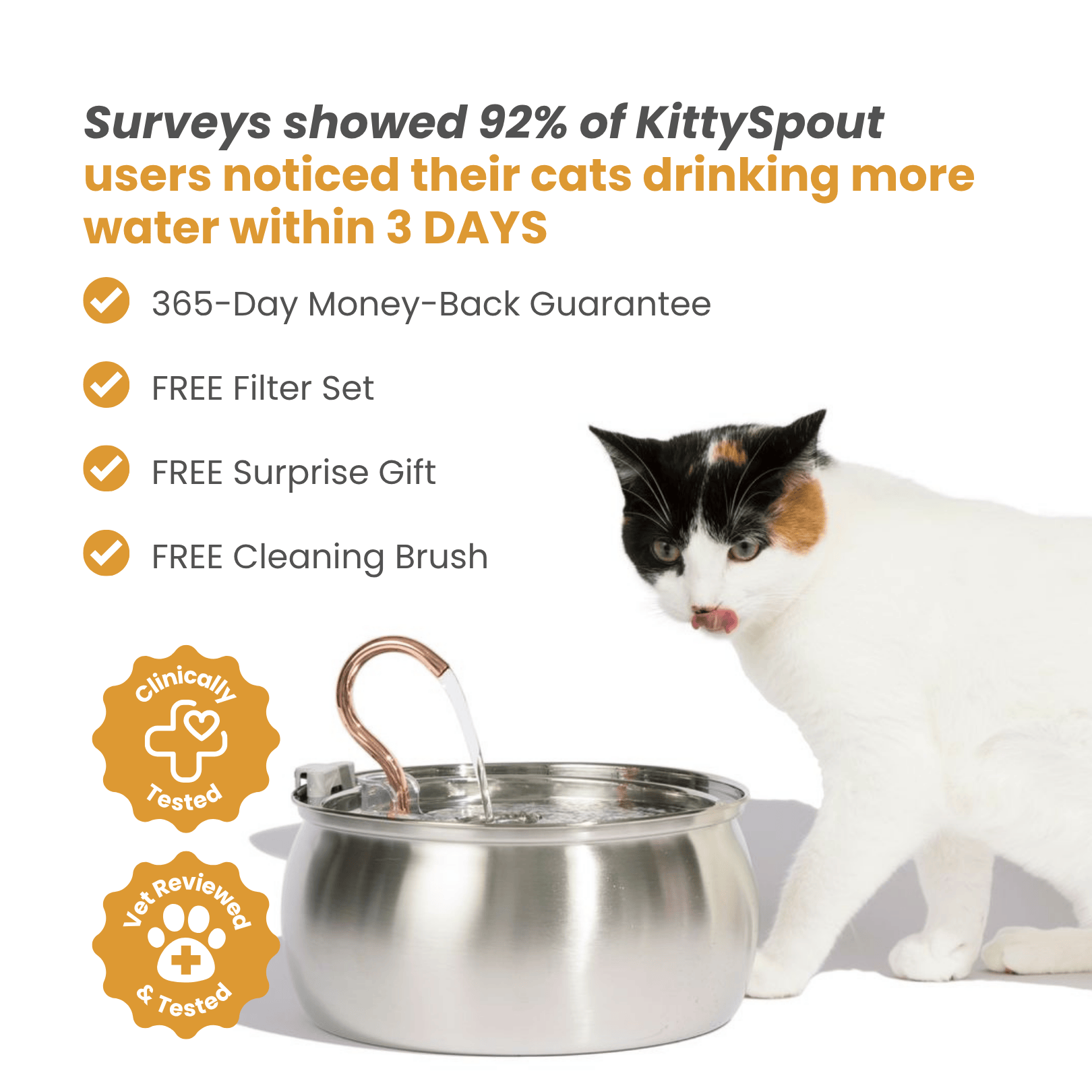 PawSpring™ - Health & Happiness Cat Kit